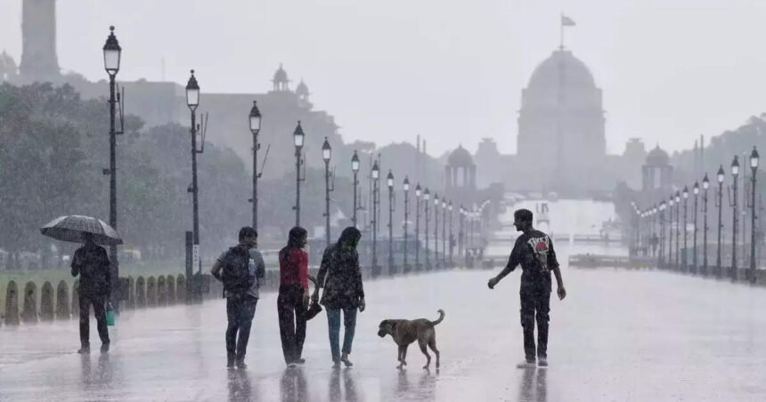 Navbharat Times - Hindi News