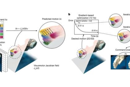 MIT Develops Low-Resource AI System to Control Soft Robots with Just One Image
