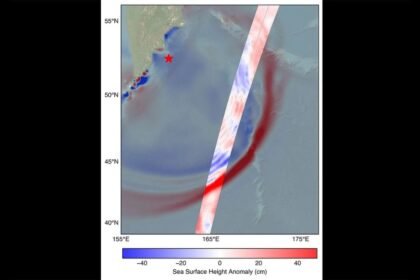 SWOT Satellite Captures Tsunami Wave After Kamchatka Quake