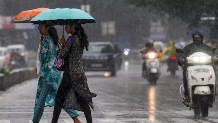 Navbharat Times - Hindi News