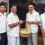 Australia Vs Oman Live Cricket Score: AUS vs OMA T20 World Cup 2026 Match Scorecard Latest Updates Today. (Picture Credit: AFP)