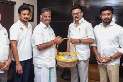 Australia Vs Oman Live Cricket Score: AUS vs OMA T20 World Cup 2026 Match Scorecard Latest Updates Today. (Picture Credit: AFP)