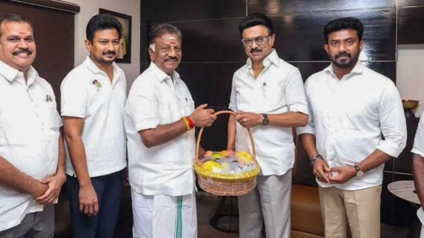 Australia Vs Oman Live Cricket Score: AUS vs OMA T20 World Cup 2026 Match Scorecard Latest Updates Today. (Picture Credit: AFP)