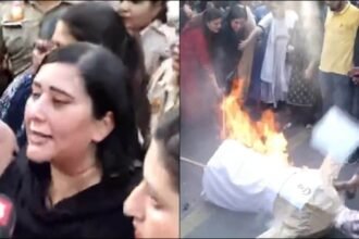 Follow SRH vs CSK live from the Rajiv Gandhi International Stadium.(AP)