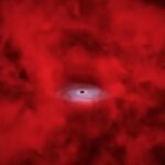 James Webb Space Telescope Little Red Dots May Reveal Birth of Black Holes