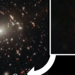 JWST Reveals the True Identity of Mysterious Little Red Dots