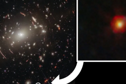 JWST Reveals the True Identity of Mysterious Little Red Dots