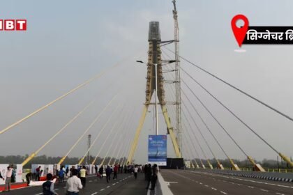 Delhi Signature Bridge defects