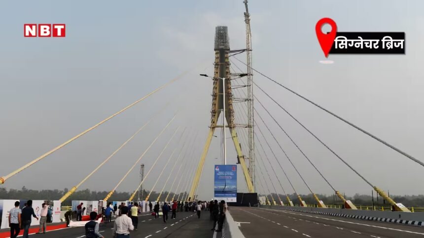 Delhi Signature Bridge defects