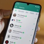 WhatsApp May Soon Let iOS Users Add Animated Wallpapers to Chat Themes
